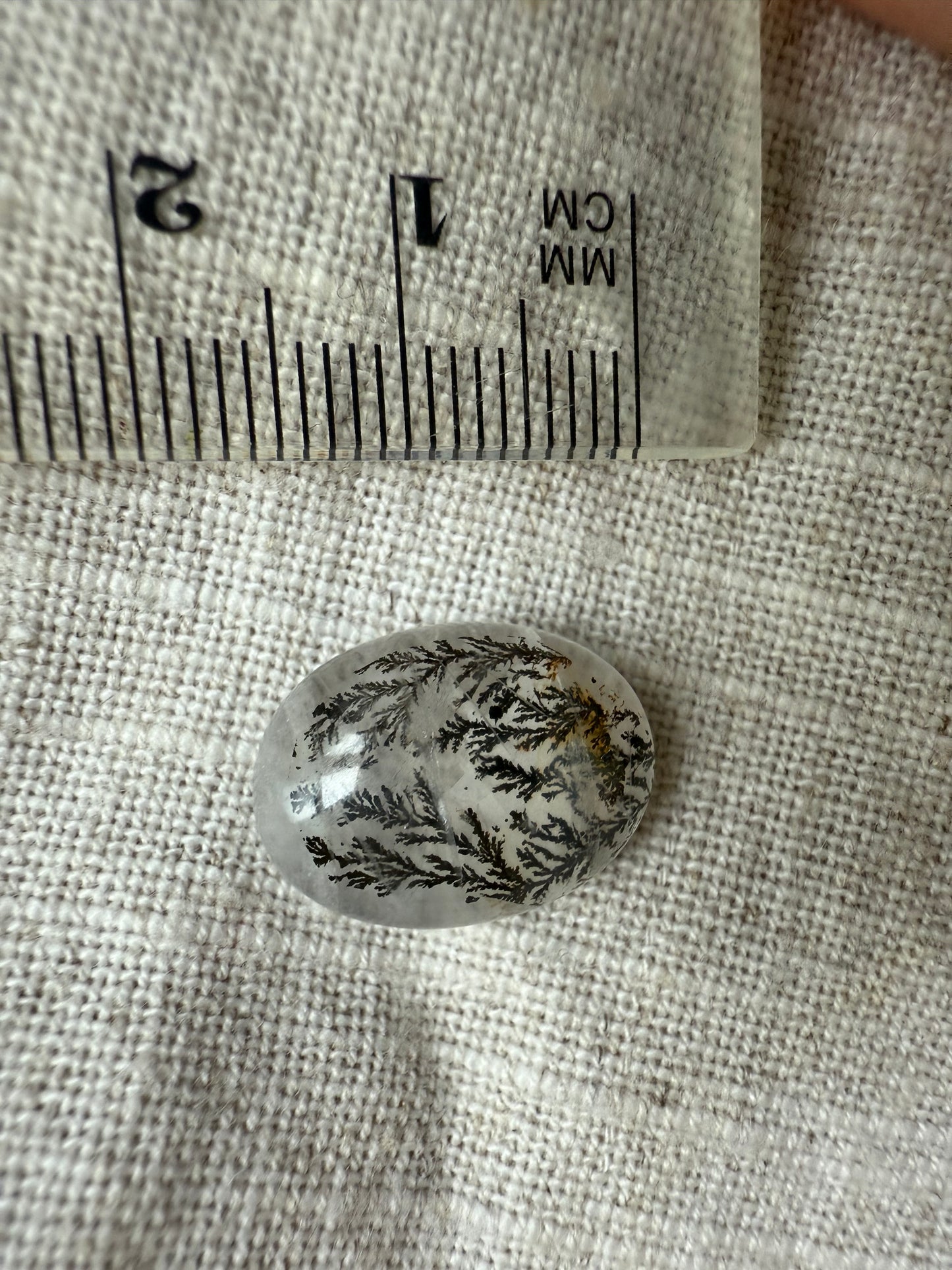 Dendritic Quartz Cabochon