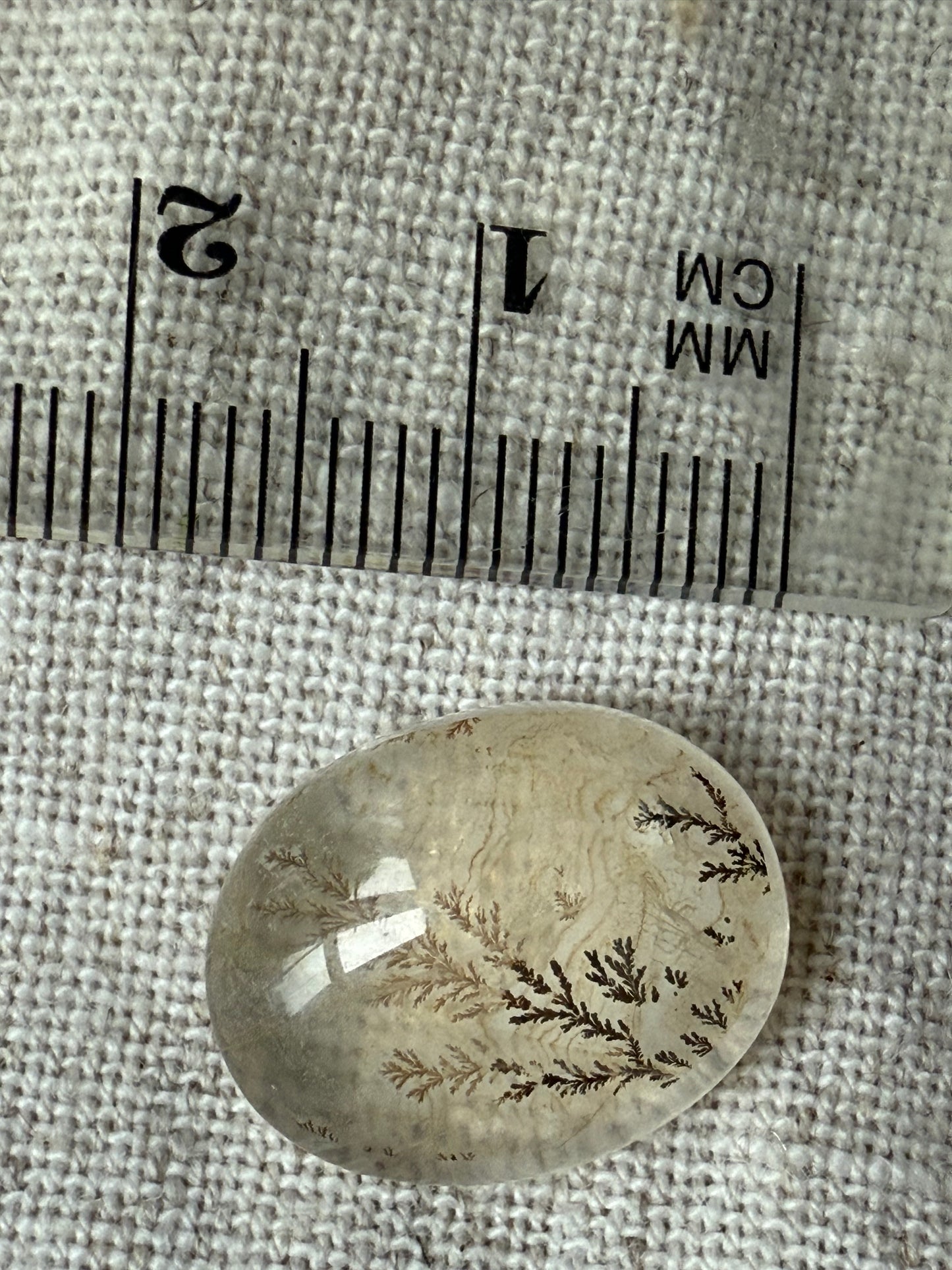 Dendritic Quartz Cabochon