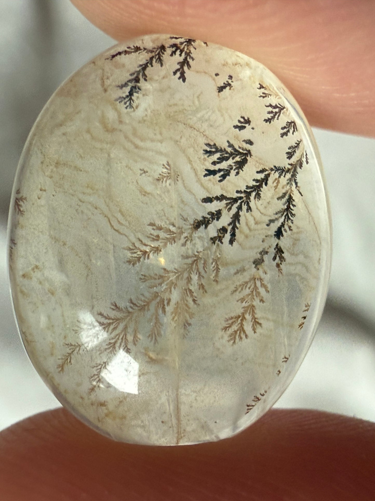 Dendritic Quartz Cabochon