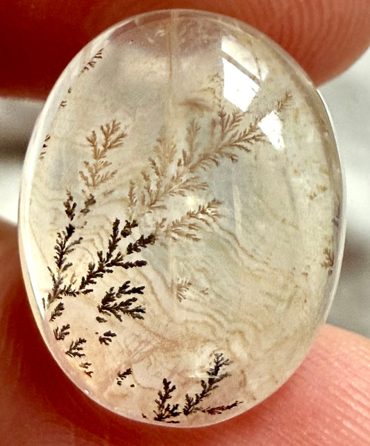 Dendritic Quartz Cabochon