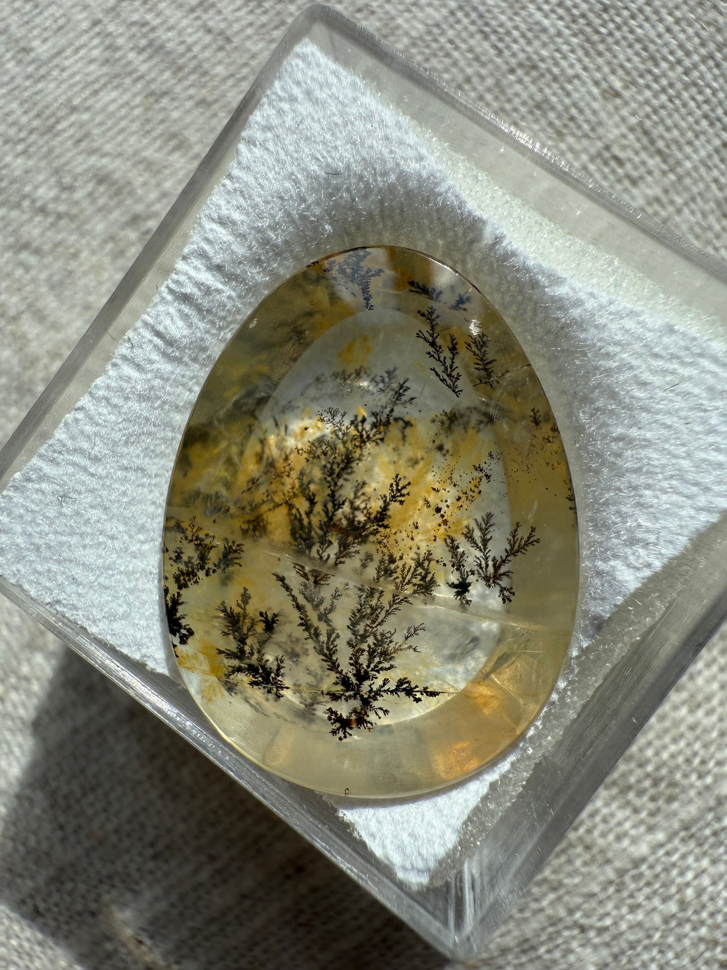 Dendritic Quartz Cabochon
