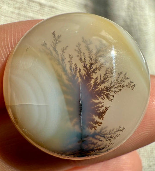 Dendritic Agate cabochon